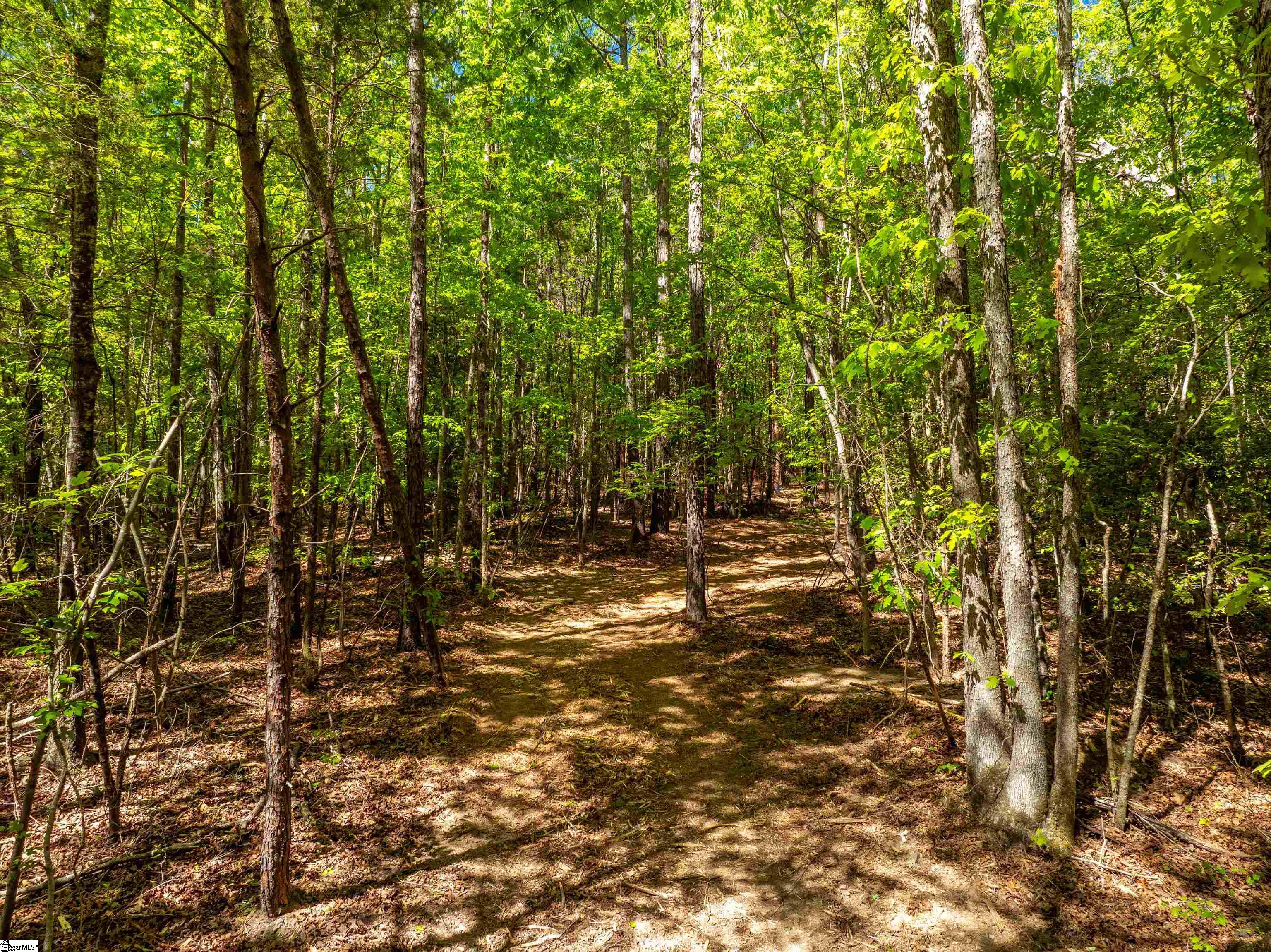 0 Princeton Highway Honea Path, SC 29654 - Photo 5 of 30