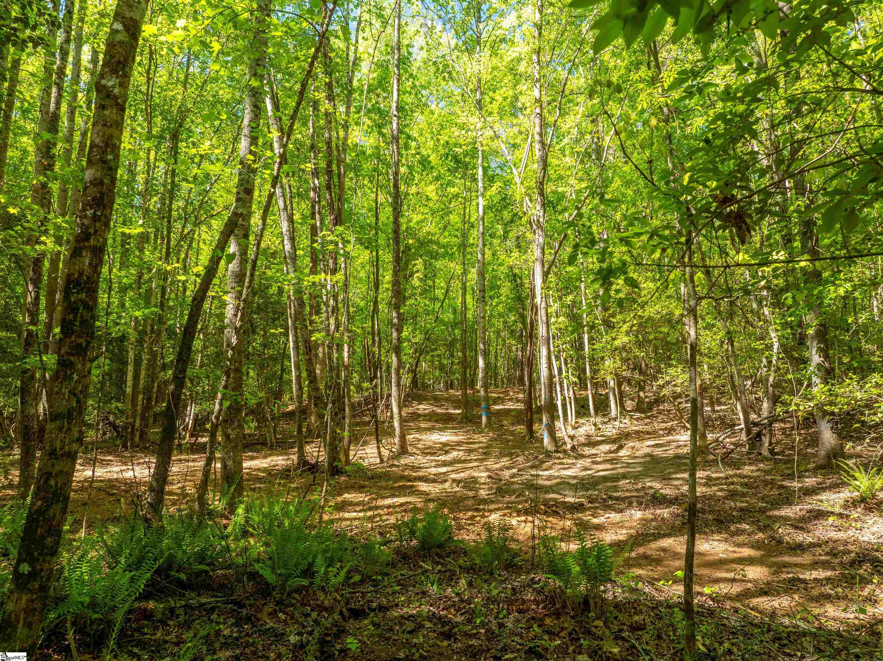 0 Princeton Highway Honea Path, SC 29654 - Photo 6 of 30