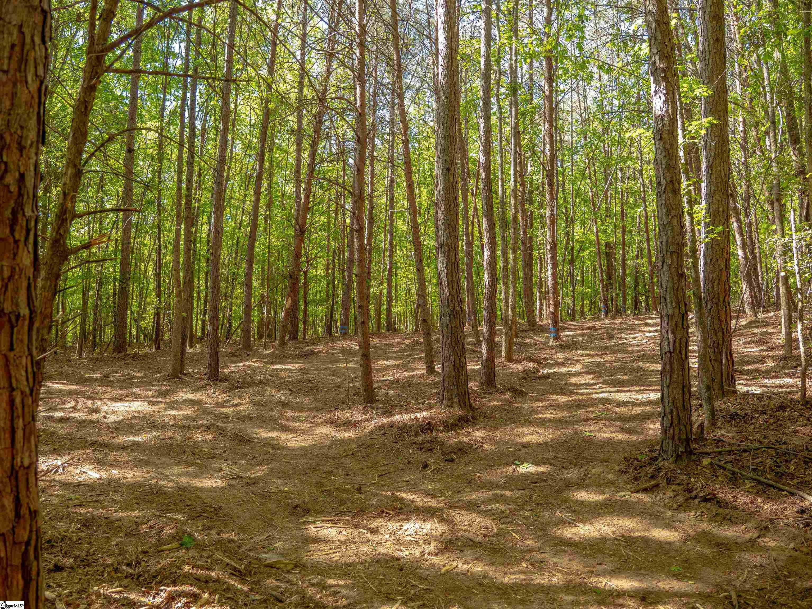 0 Princeton Highway Honea Path, SC 29654 - Photo 8 of 30