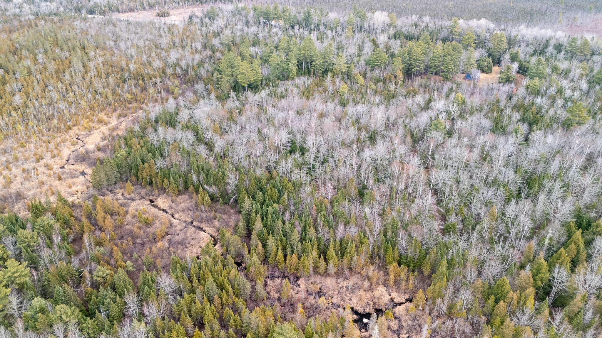 1735 Bangor Road Dover-Foxcroft, ME 04426 - Photo 53 of 69 DJI_20241126100051_0583_D