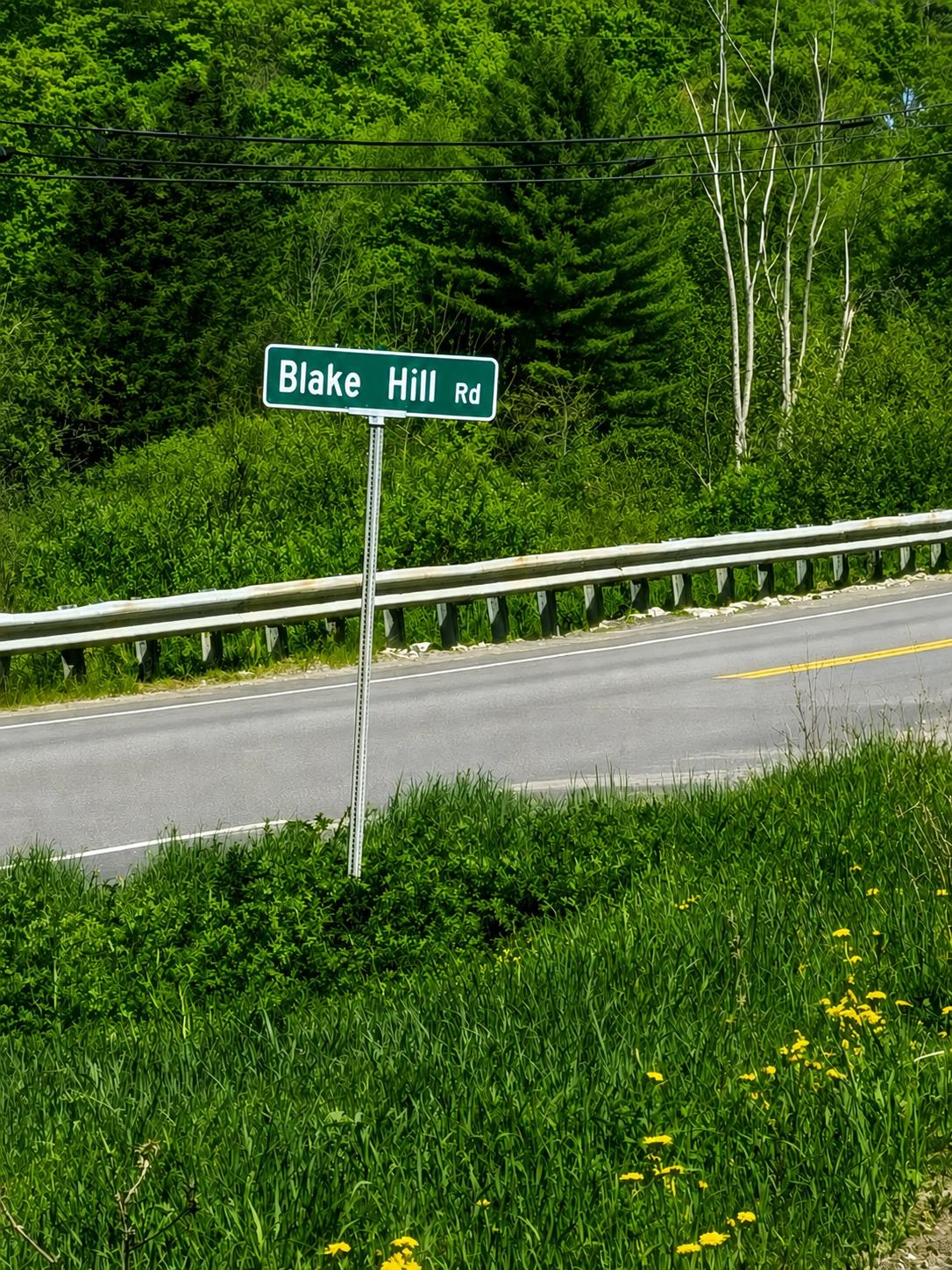 0 Blake Hill Road Cabot, VT 05647 - Photo 4 of 5