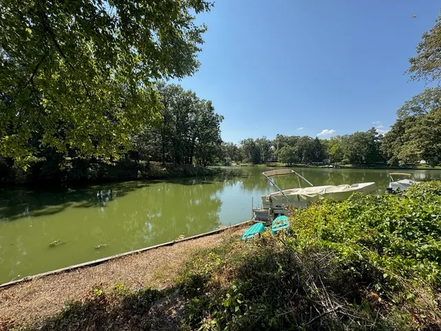 a view of a lake with a large trees