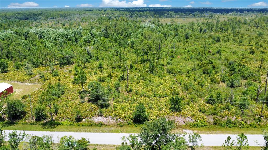 4000 Gerona Avenue Sebring, FL 33872 - Photo 15 of 19 a view of a yard with a tree