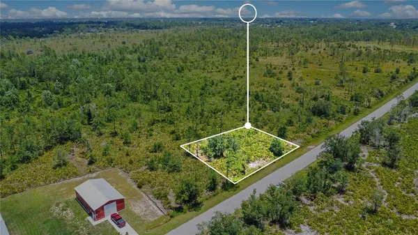 a view of a garden with a tree