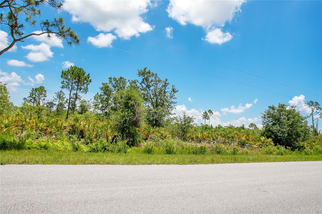 4000 Gerona Avenue Sebring, FL 33872 - Photo 3 of 19 a view of a garden with a tree
