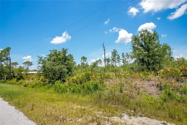 a view of a flower in a yard