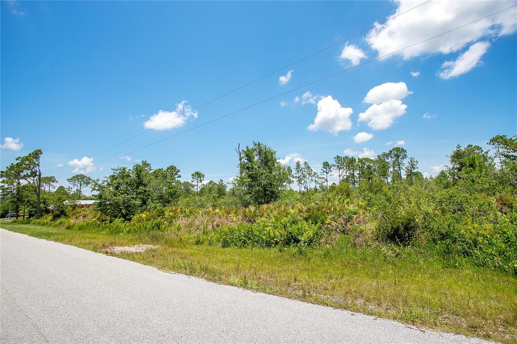 4000 Gerona Avenue Sebring, FL 33872 - Photo 6 of 19 a view of a flower in a yard