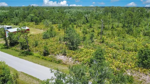 a view of a yard with plants and large trees