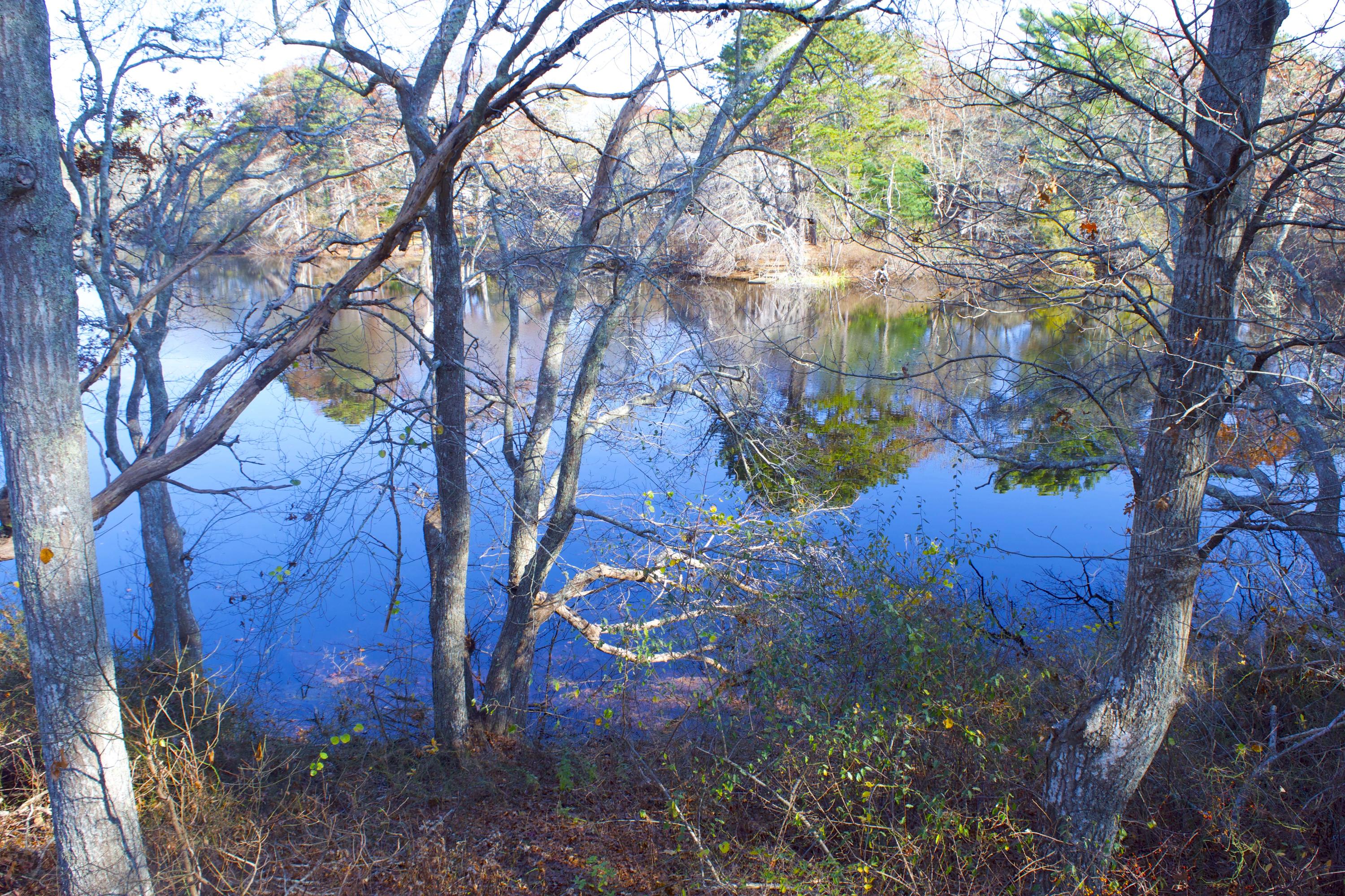 10 Dollins Road Pocasset, MA 02559 - Photo 2 of 14 DSC_0686
