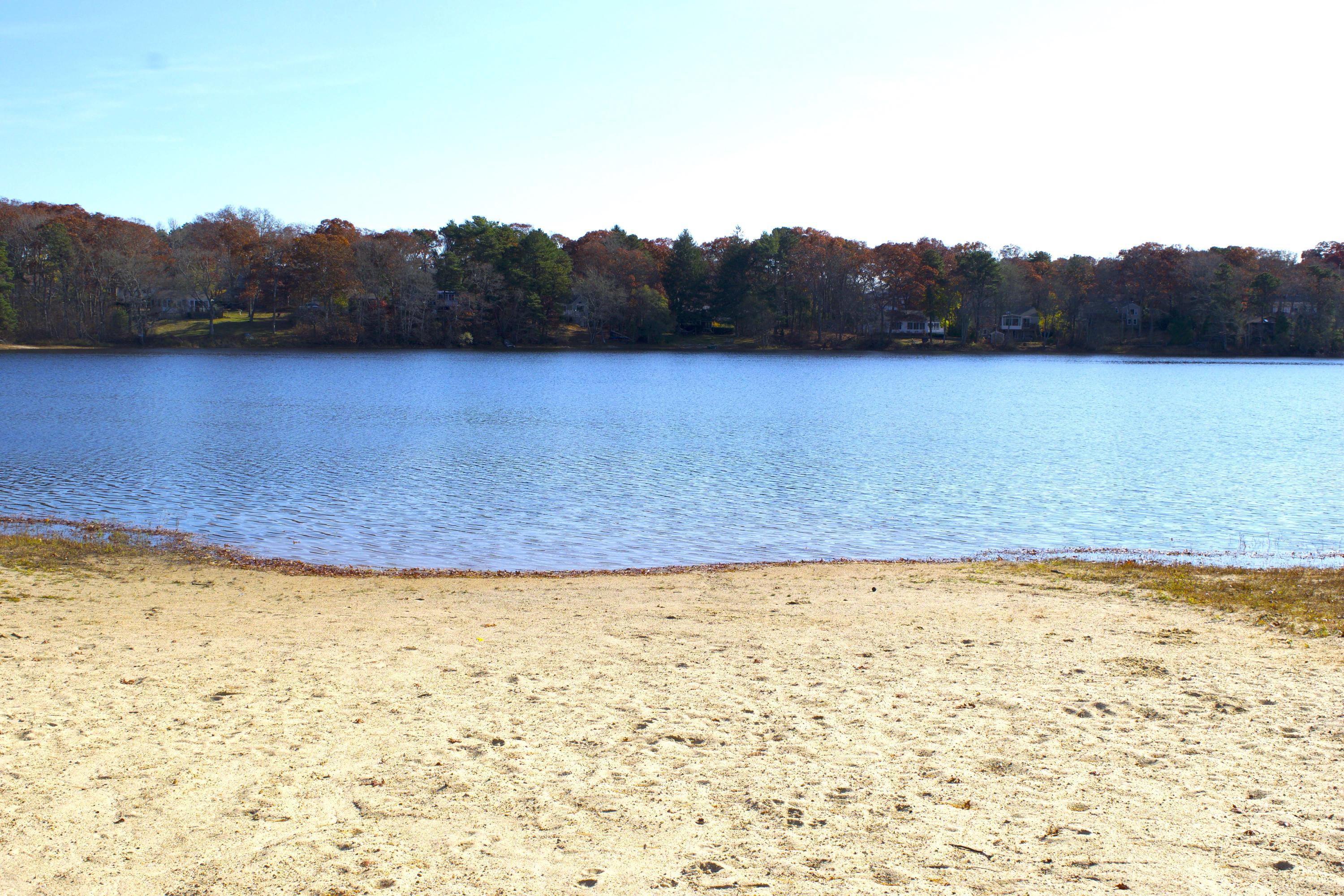10 Dollins Road Pocasset, MA 02559 - Photo 4 of 14 Beach
