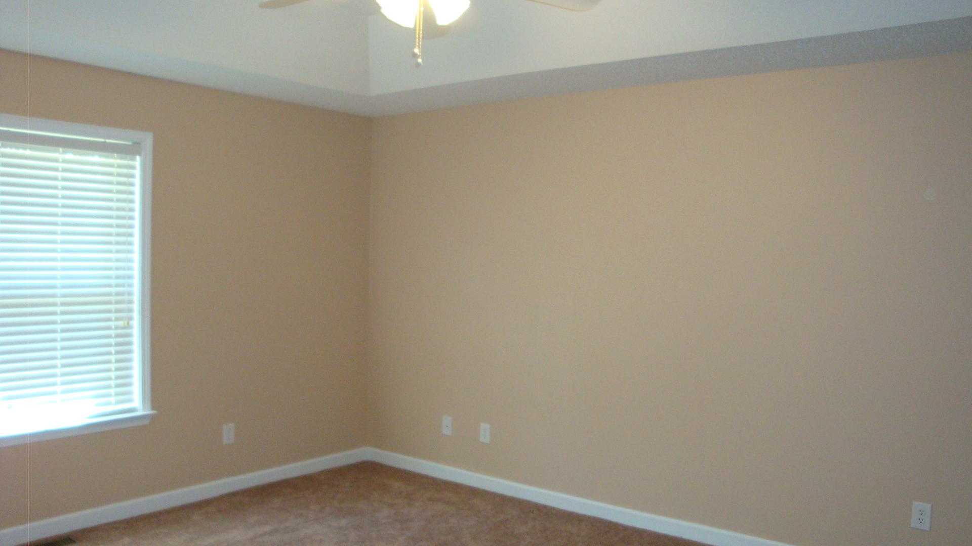 137 Signal Street Hamlet, NC 28345 - Photo 8 of 19 DSC09250