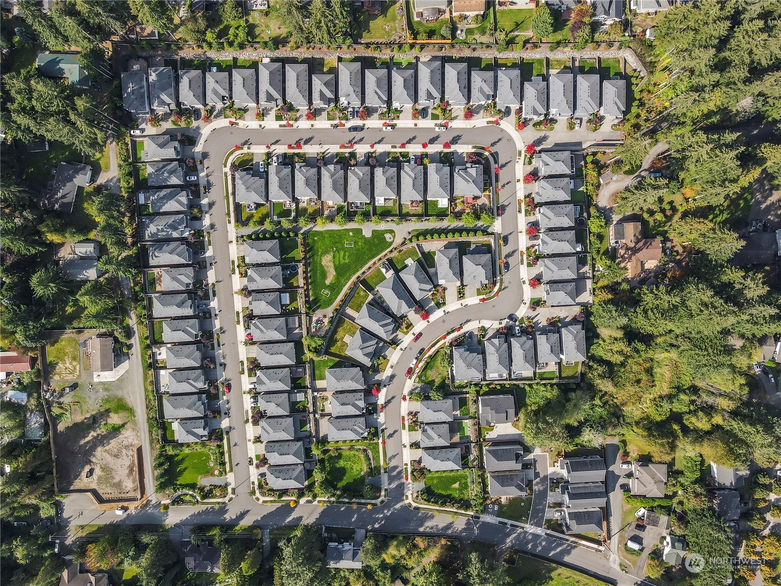 1224 198th Place Southeast Bothell, WA 98012 - Photo 33 of 38 a view of a wooden door with a tree