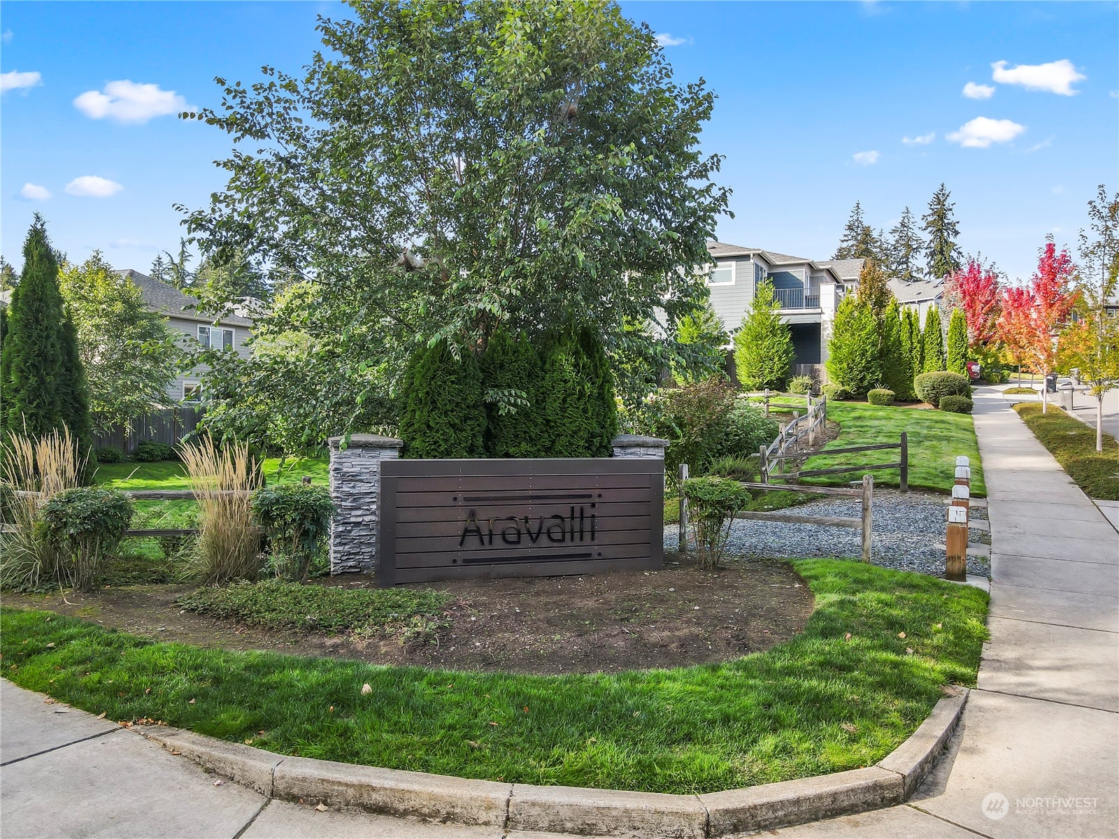 1224 198th Place Southeast Bothell, WA 98012 - Photo 37 of 38 a view of a park that has a large tree