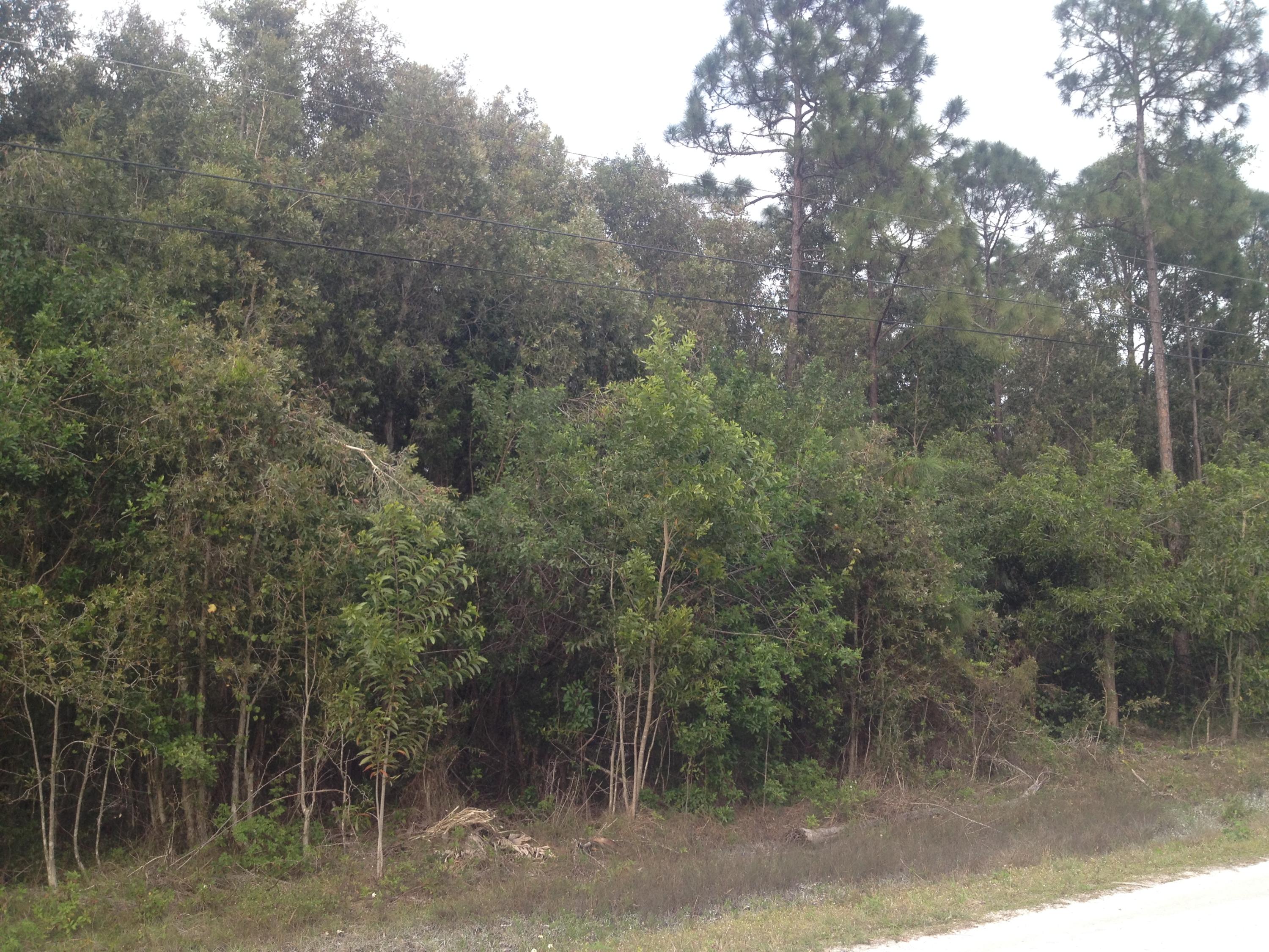 Xxxx 41st Road North Loxahatchee, FL 33470 - Photo 1 of 3 front view
