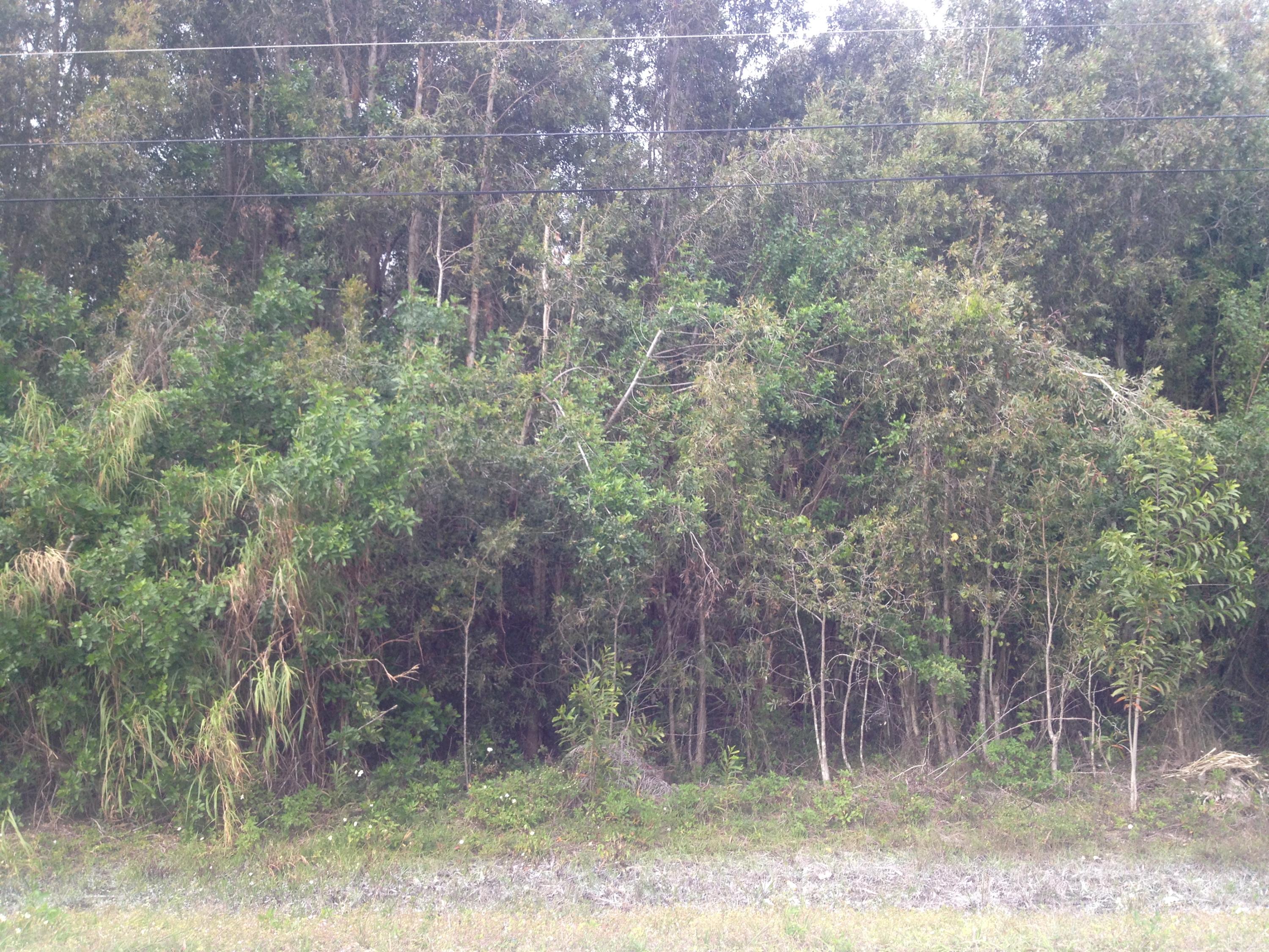 Xxxx 41st Road North Loxahatchee, FL 33470 - Photo 3 of 3 front view