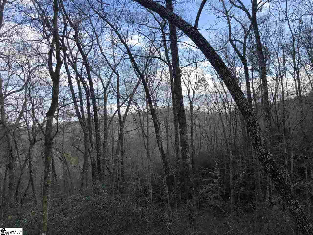 0 New Hope Road Pickens, SC 29671 - Photo 2 of 25