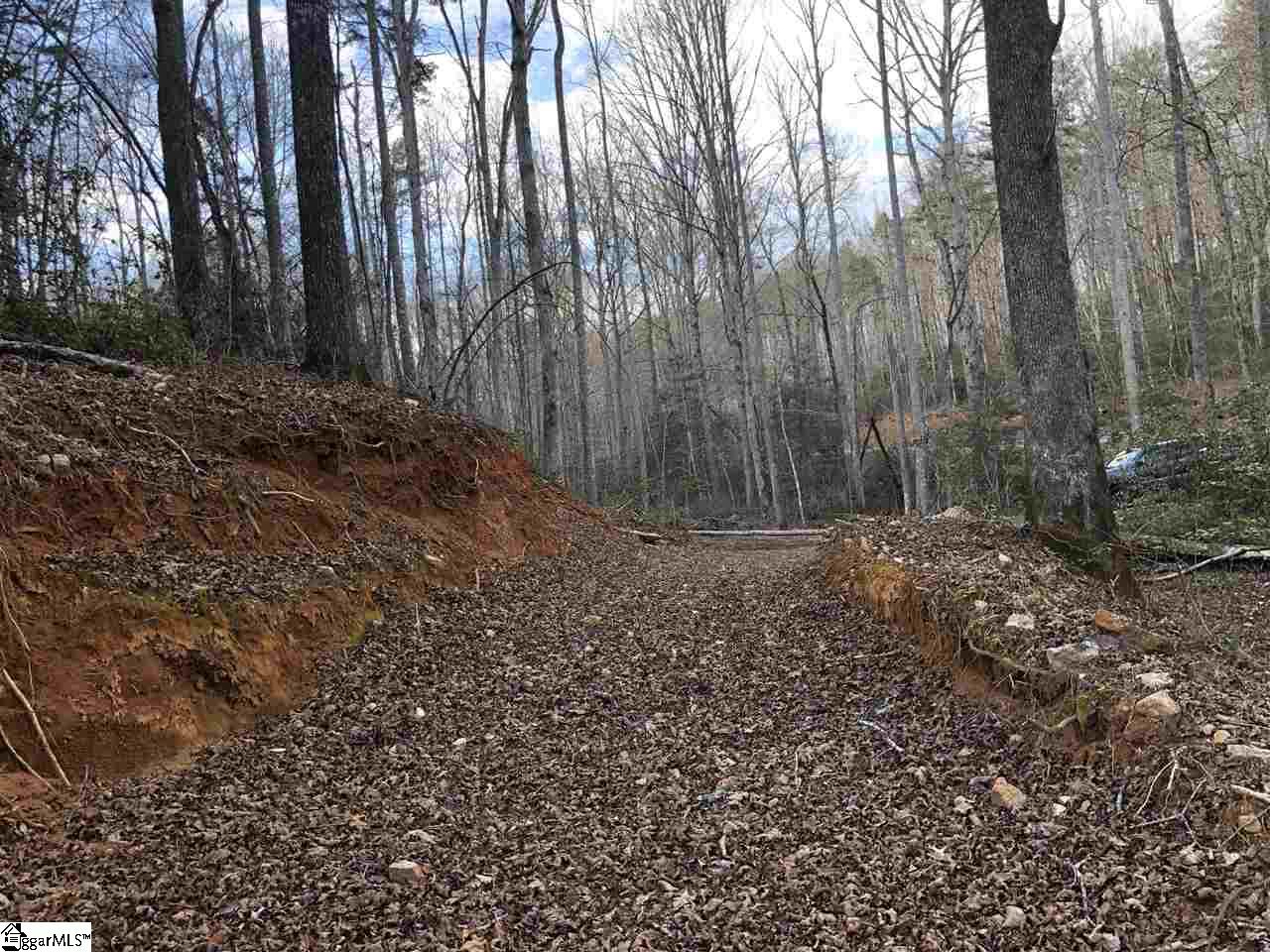 0 New Hope Road Pickens, SC 29671 - Photo 11 of 25