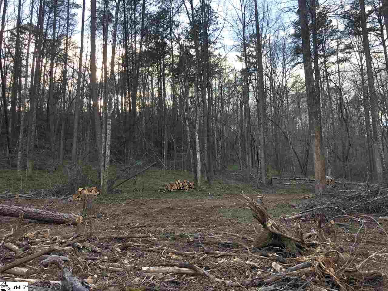 0 New Hope Road Pickens, SC 29671 - Photo 13 of 25