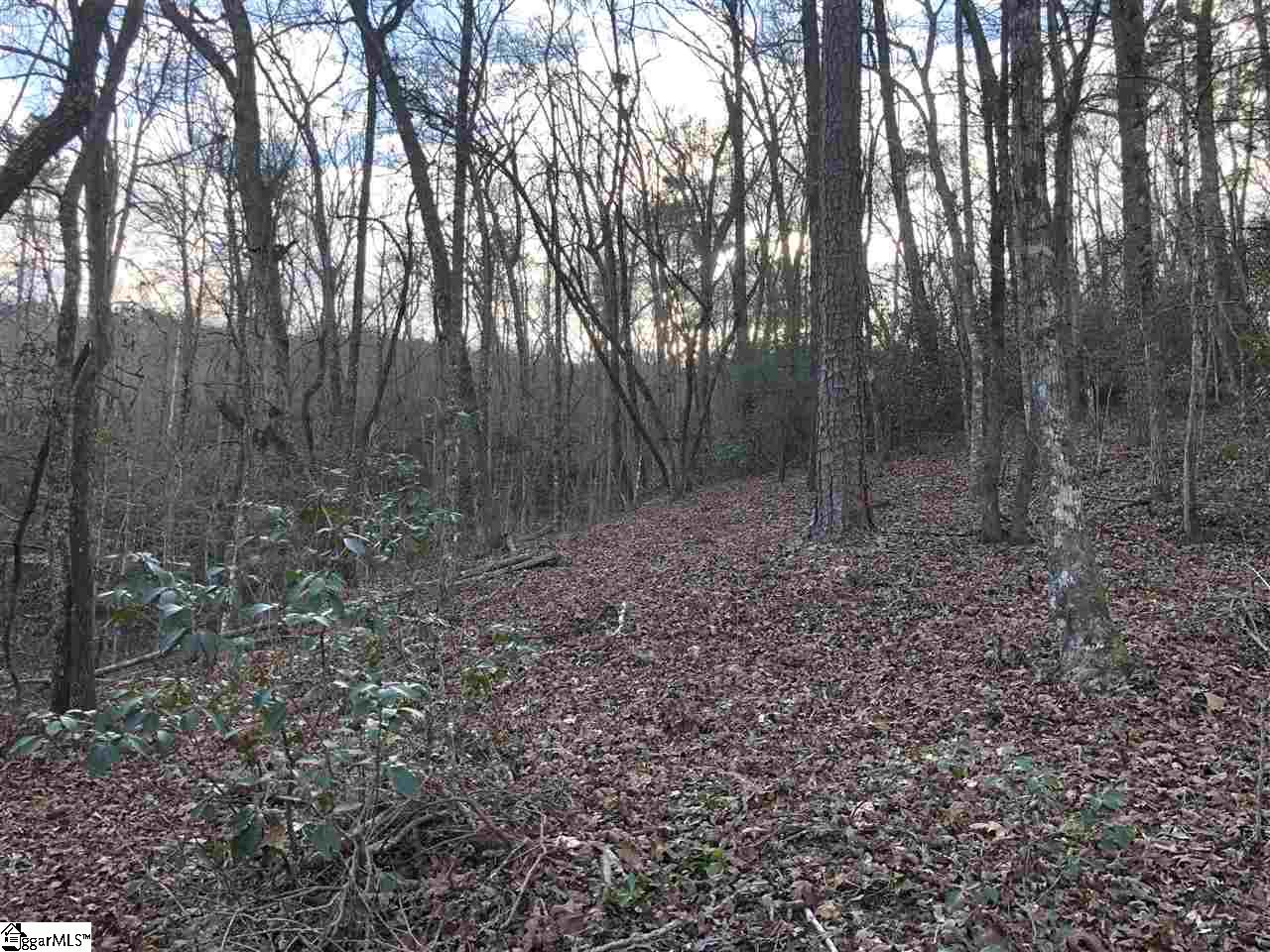 0 New Hope Road Pickens, SC 29671 - Photo 15 of 25