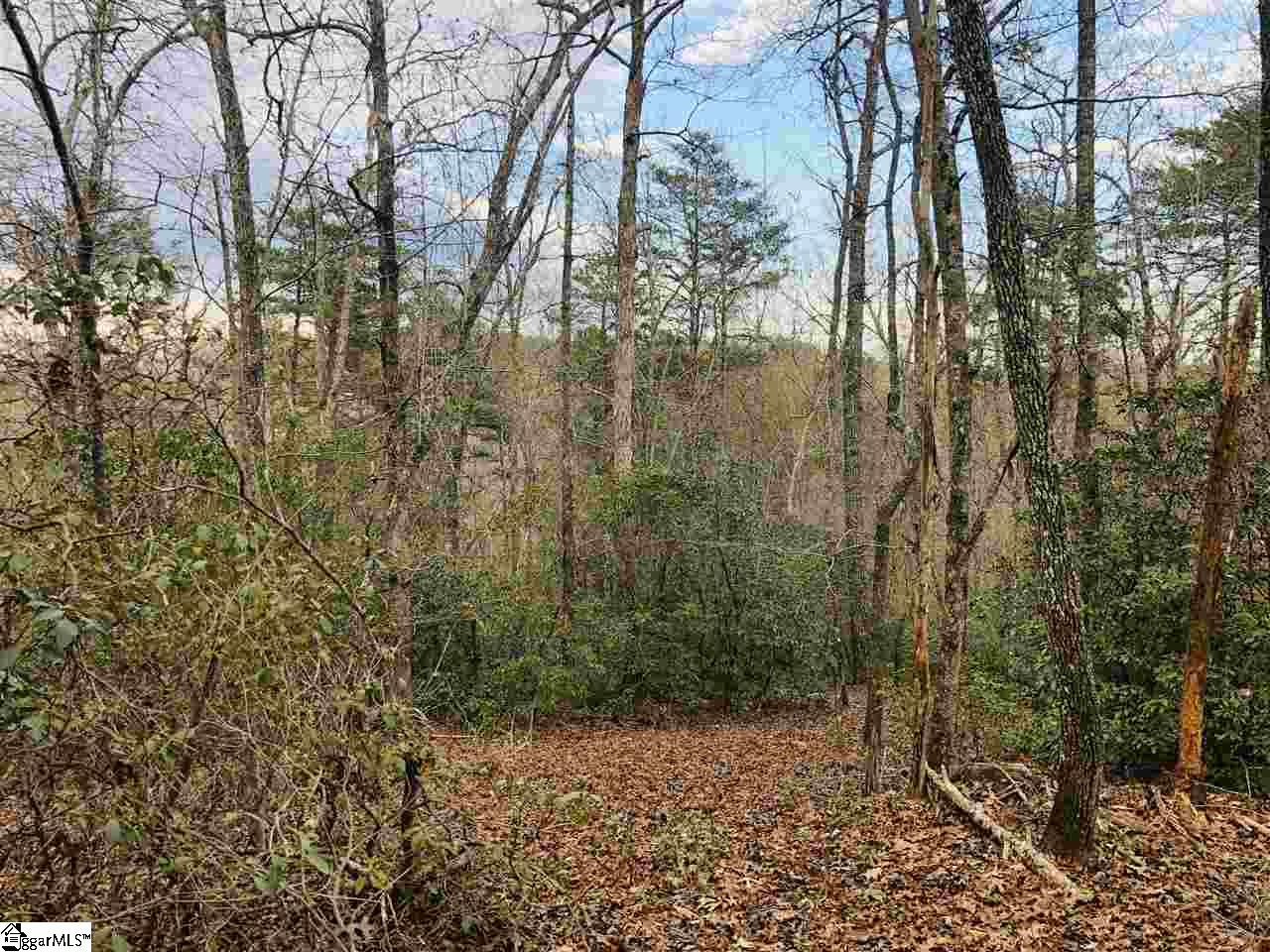 0 New Hope Road Pickens, SC 29671 - Photo 17 of 25