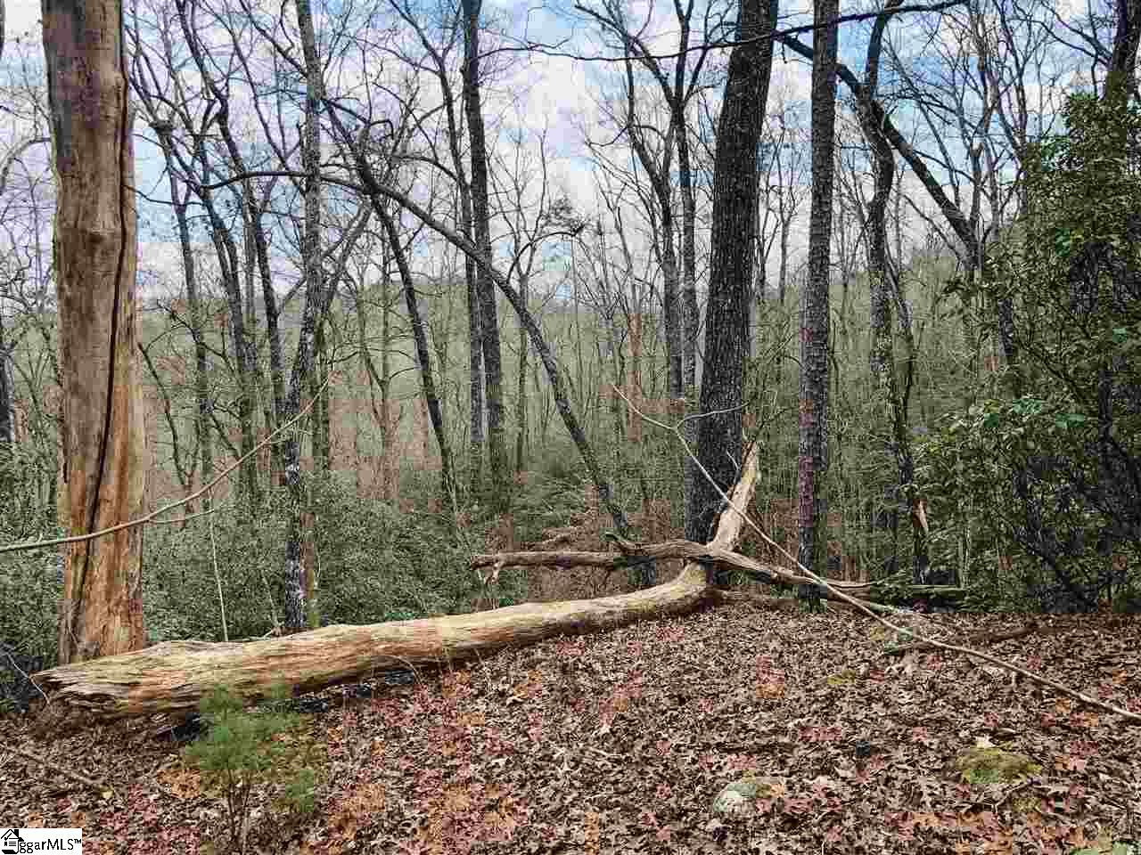 0 New Hope Road Pickens, SC 29671 - Photo 18 of 25