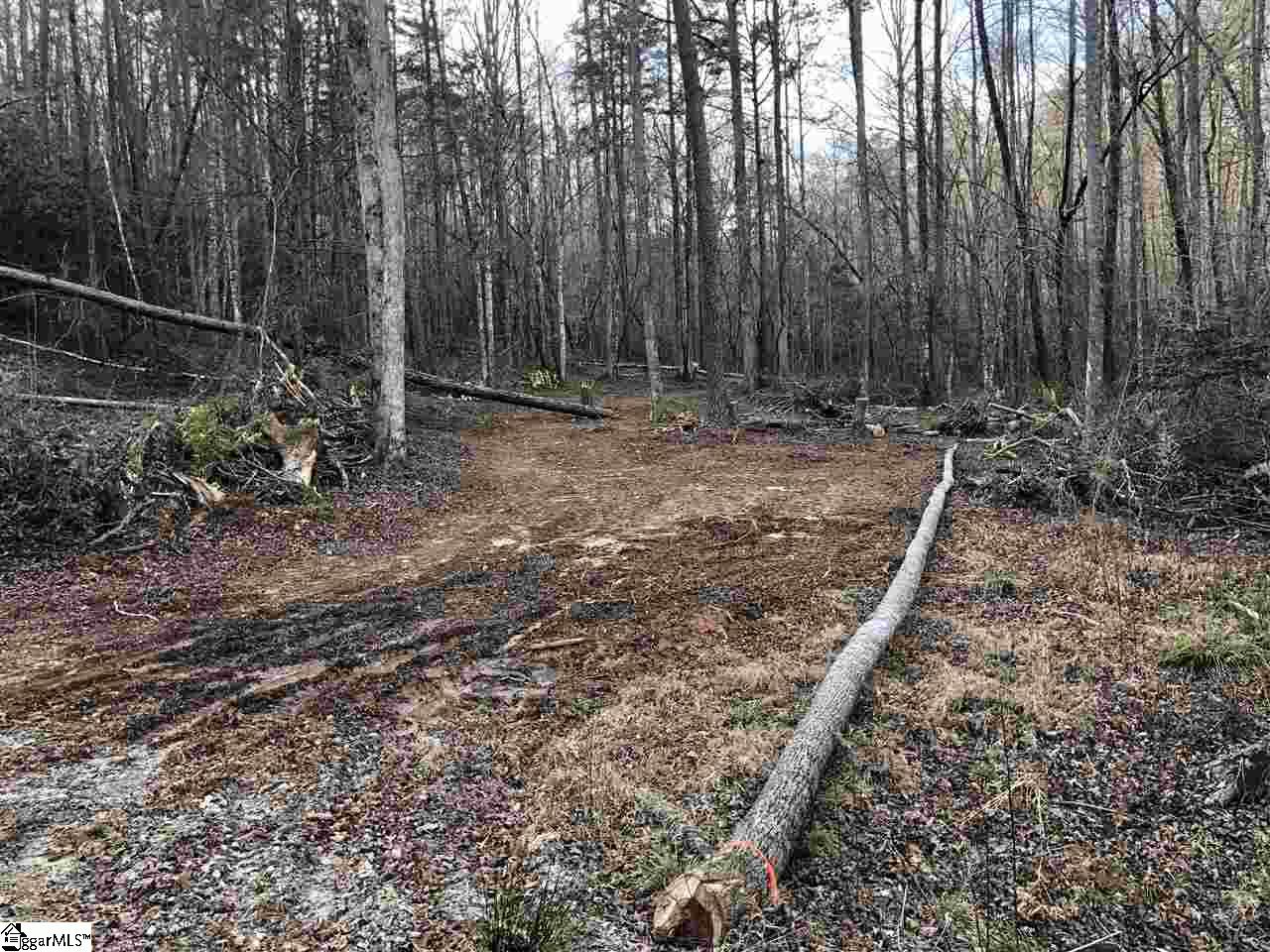 0 New Hope Road Pickens, SC 29671 - Photo 5 of 25