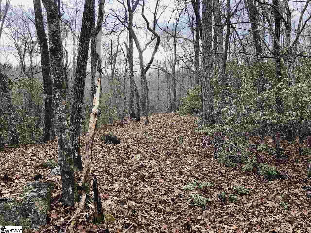 0 New Hope Road Pickens, SC 29671 - Photo 6 of 25