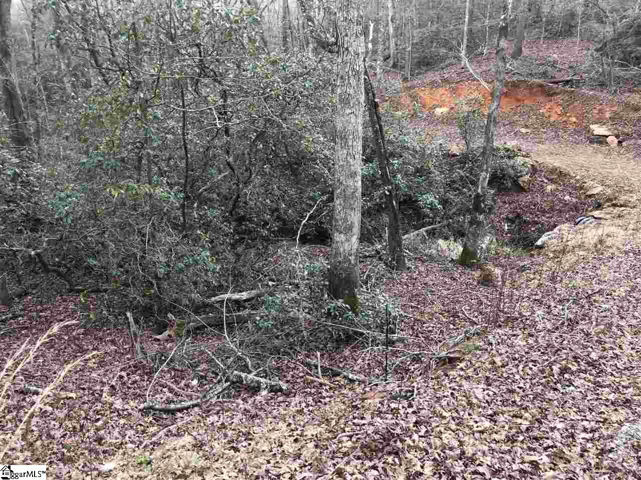 0 New Hope Road Pickens, SC 29671 - Photo 7 of 25