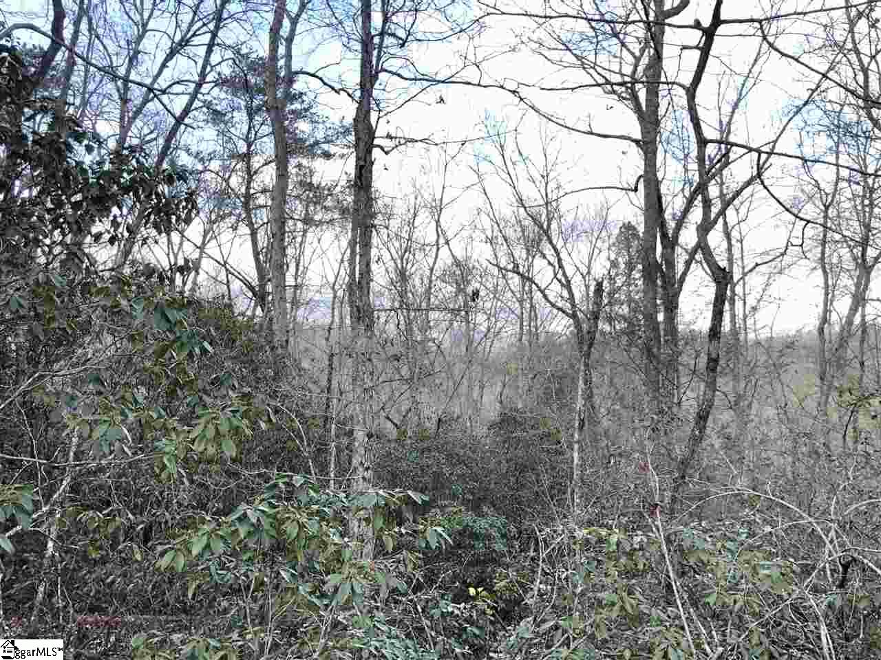0 New Hope Road Pickens, SC 29671 - Photo 10 of 25