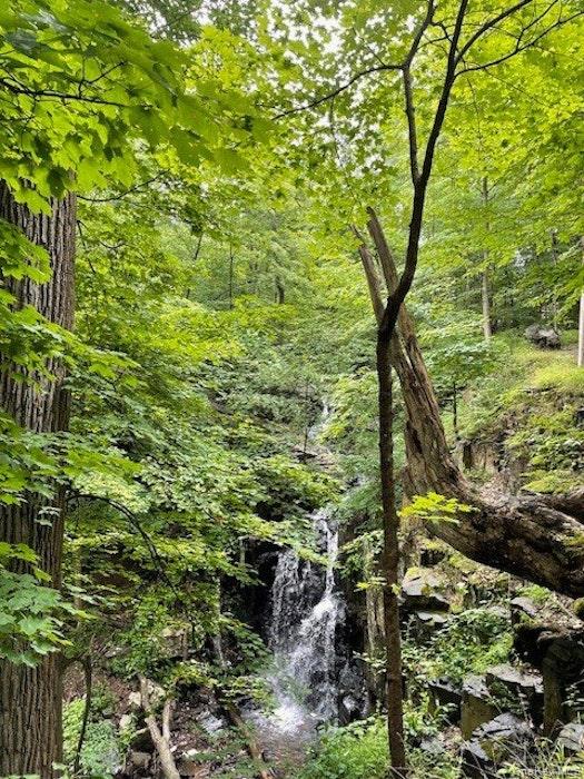 2 Buttermilk Falls Road Nyack, NY 10960 - Photo 33 of 41 a view of a garden