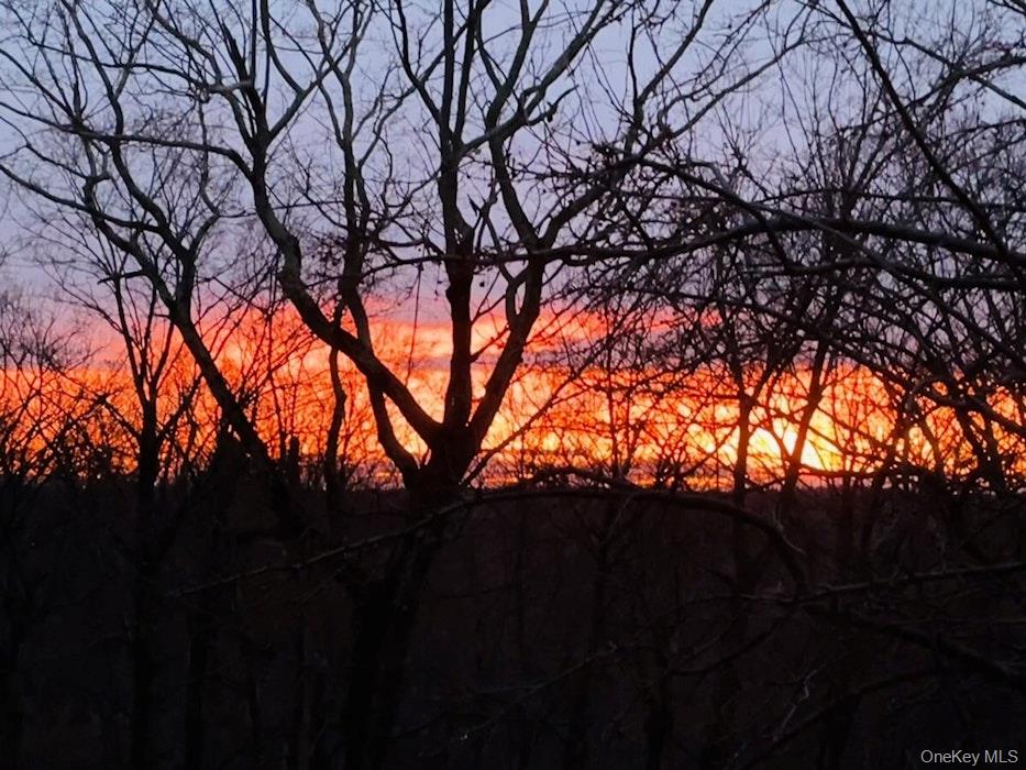 2 Buttermilk Falls Road Nyack, NY 10960 - Photo 39 of 41 a backyard of a house with lots of green space
