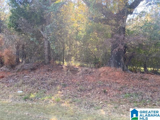 0 Montevallo Road Alabaster, AL 35007 - Photo 4 of 7