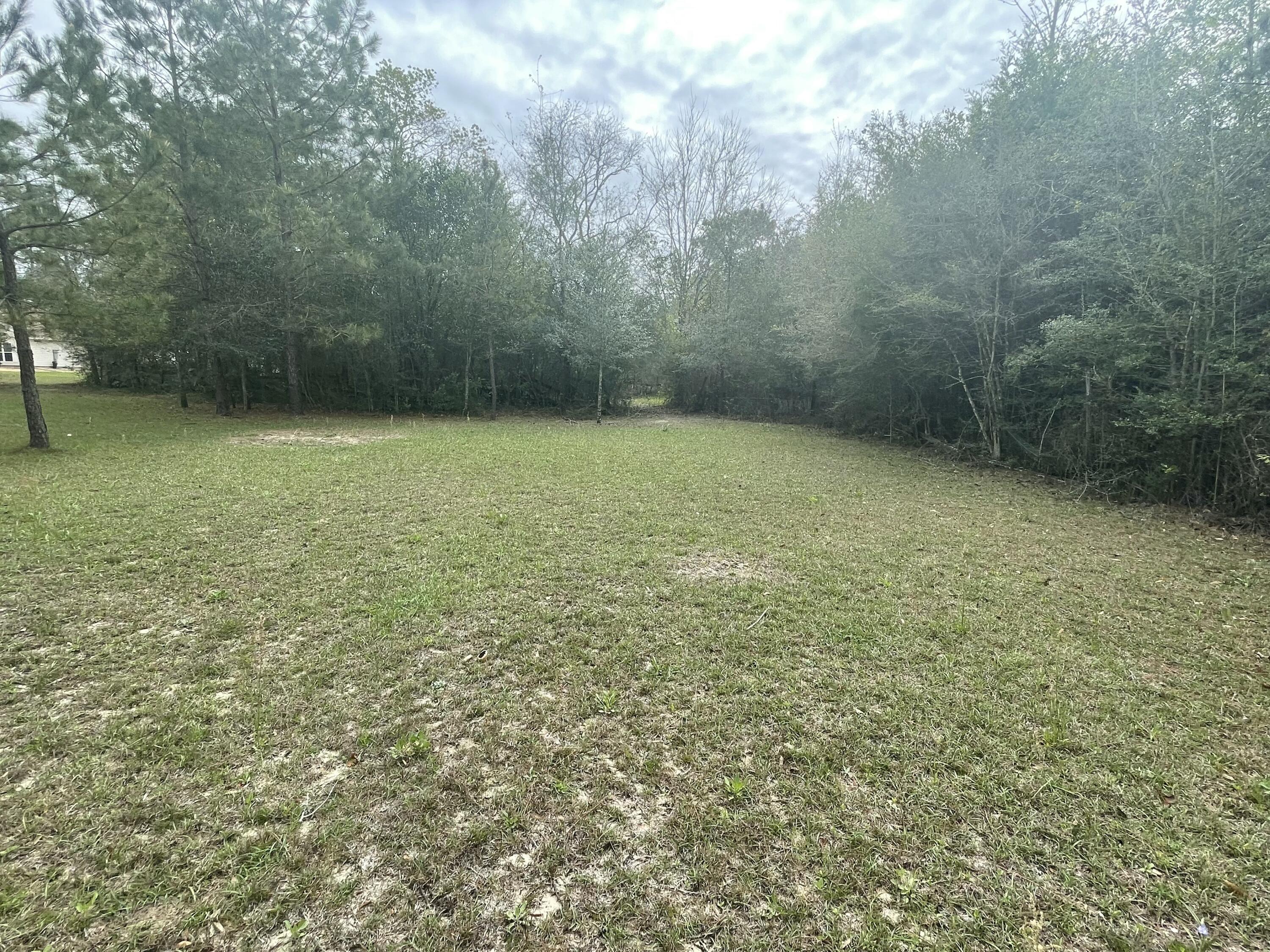 9885 West Provincial Road Milton, FL 32583 - Photo 4 of 6 a view of a yard