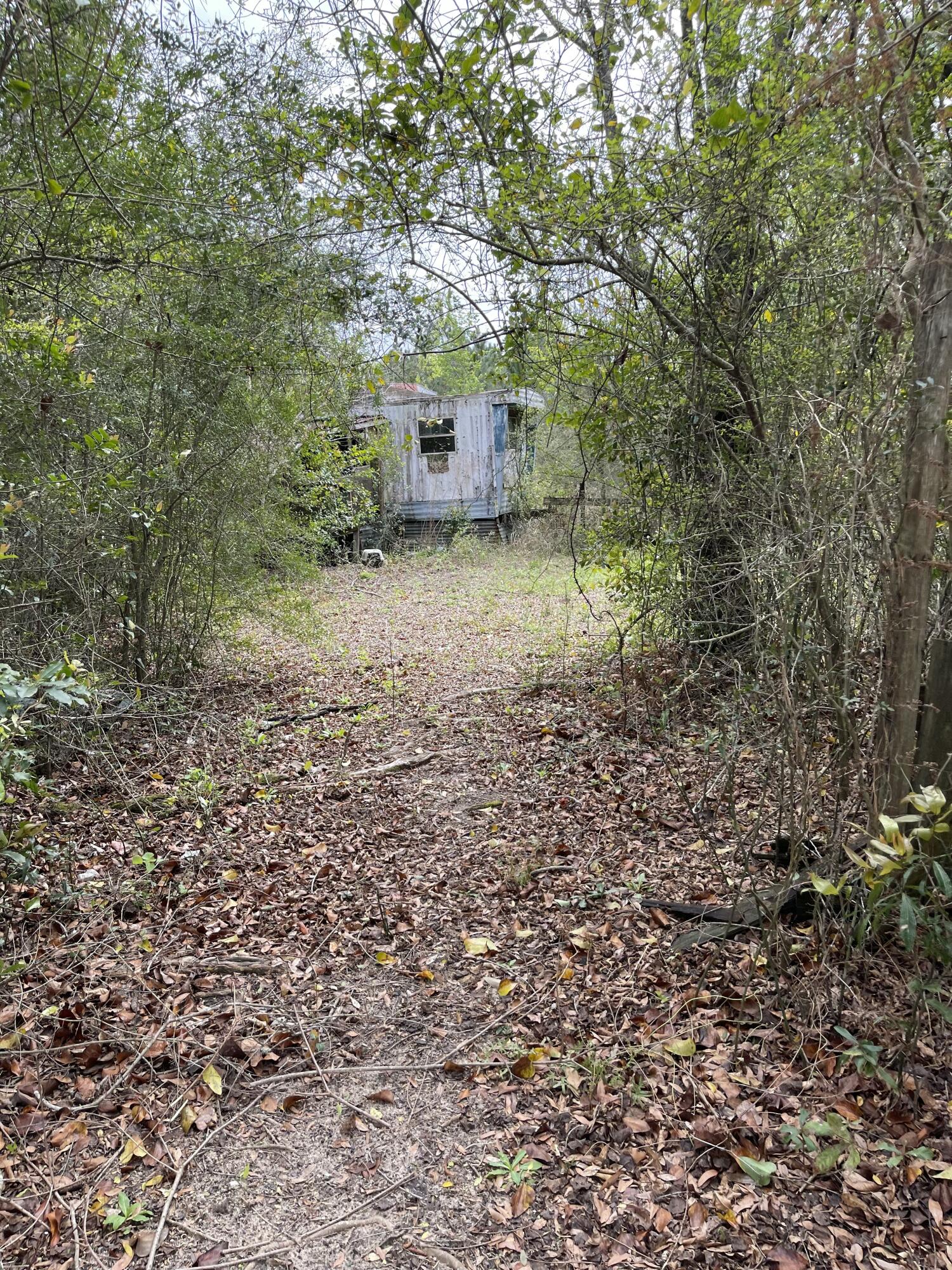 9885 West Provincial Road Milton, FL 32583 - Photo 5 of 6 a view of a yard with large trees
