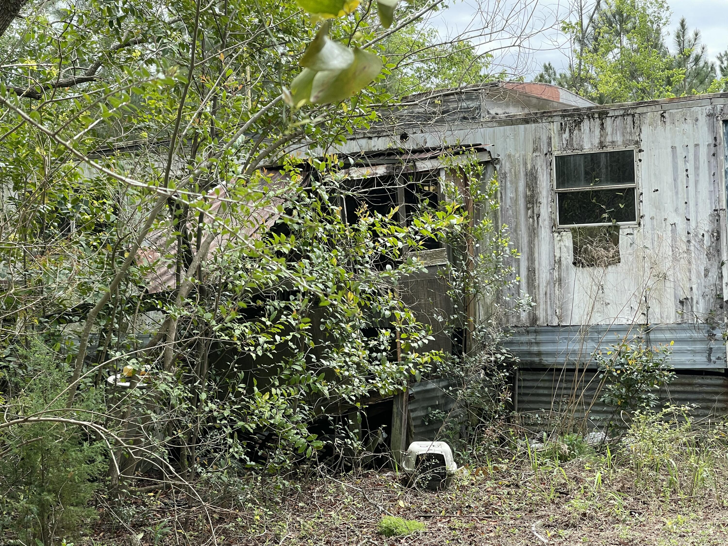 9885 West Provincial Road Milton, FL 32583 - Photo 6 of 6 a backyard of a house with lots of green space