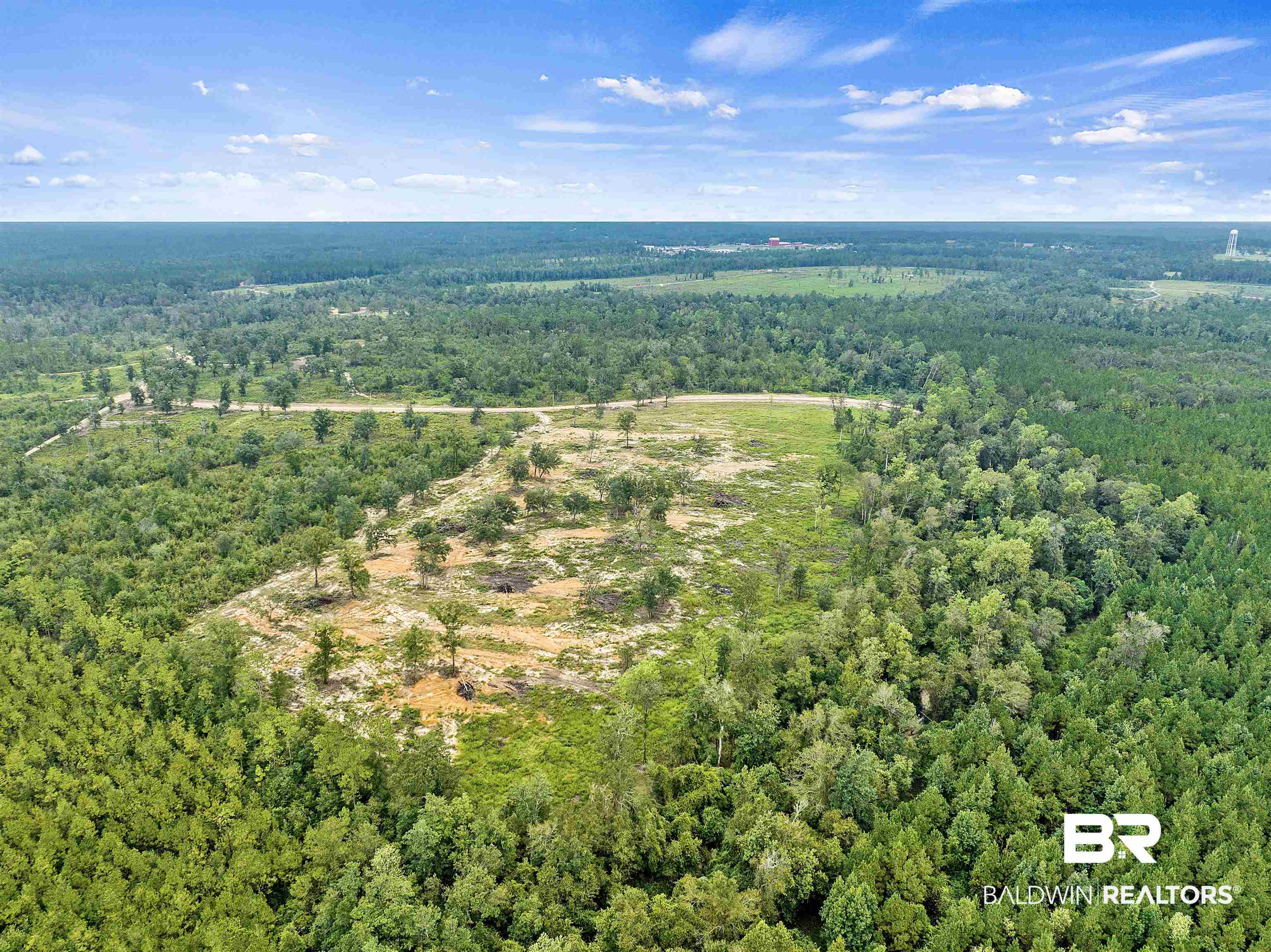 0 Lechner Road Robertsdale, AL 36567 - Photo 1 of 13