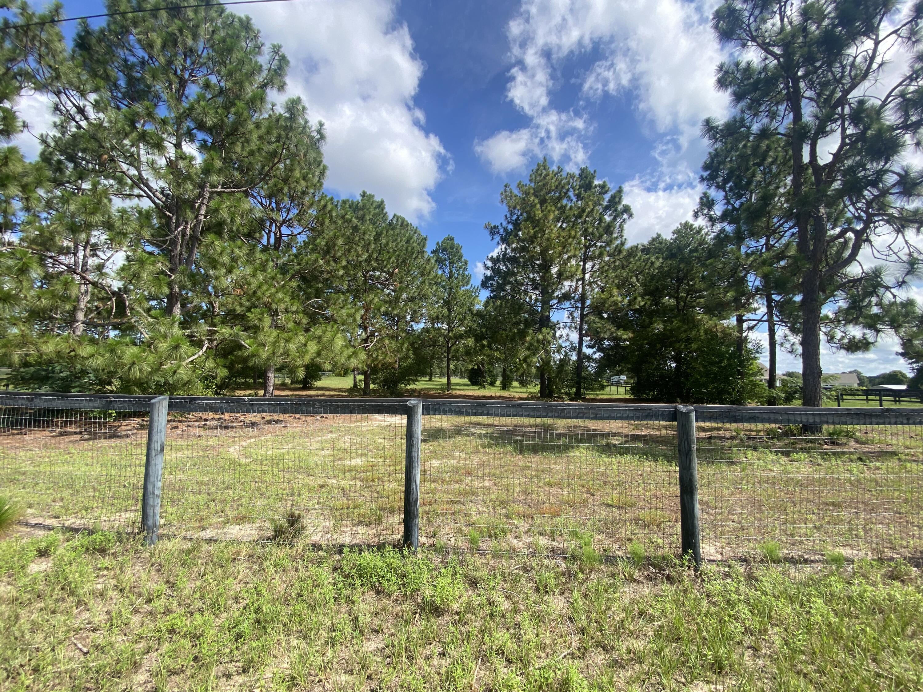 Lot 48 Spring Branch Road Williston, SC 29853 - Photo 3 of 19 Gallery Image 3