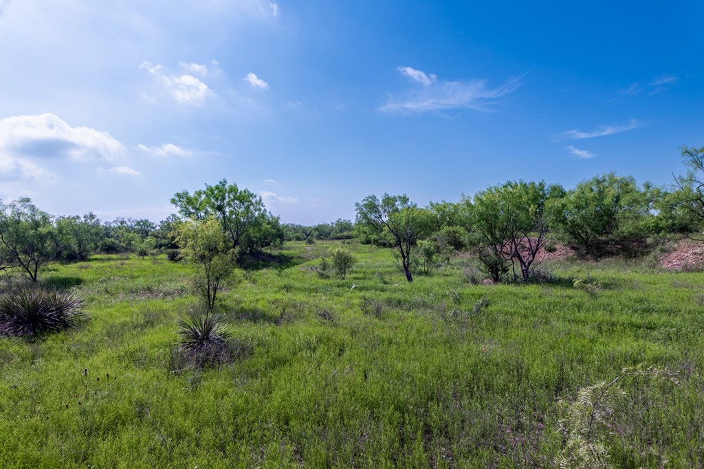 88291 Suaa Rd Well Lohn, TX 76852 - Photo 13 of 44 a green field with lots of bushes