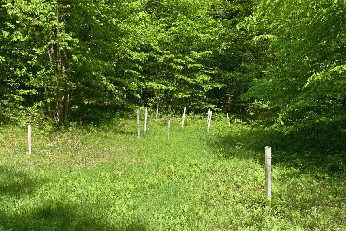 14754 North McComb Lake Road Mountain, WI 54149 - Photo 60 of 82