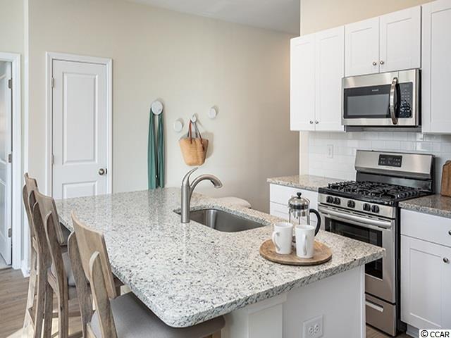 325 Reindeer Road South Surfside Beach, SC 29575 - Photo 4 of 16 Gallery Image 4