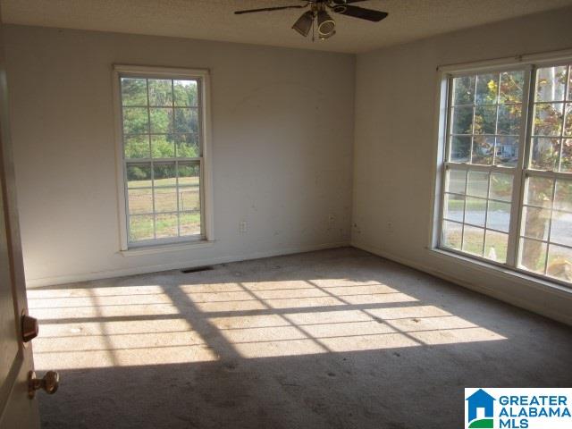 199 Tomahawk Trail Ohatchee, AL 36271 - Photo 2 of 15