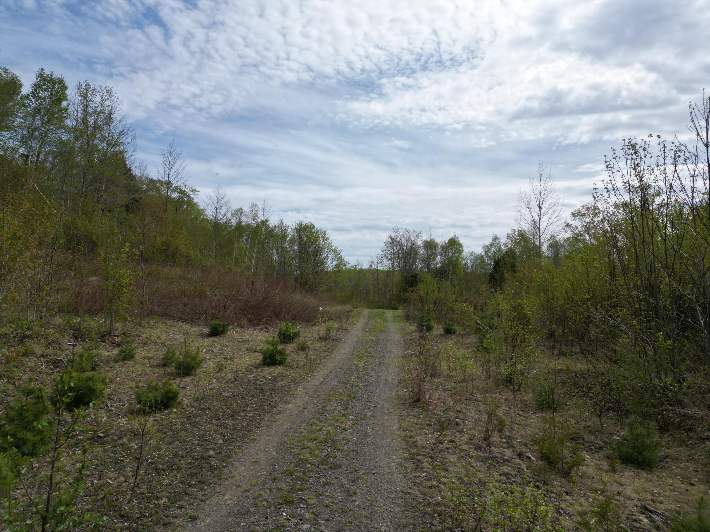 Lot 9 W Road Brewer, ME 04412 - Photo 7 of 12 DJI_0438