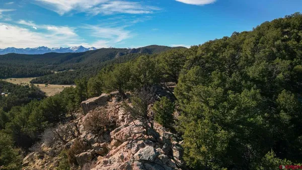 a view of a yard covered with snow in the background