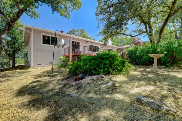 a view of a backyard with large trees