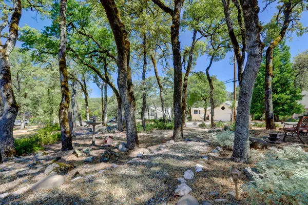 a view of backyard with large trees