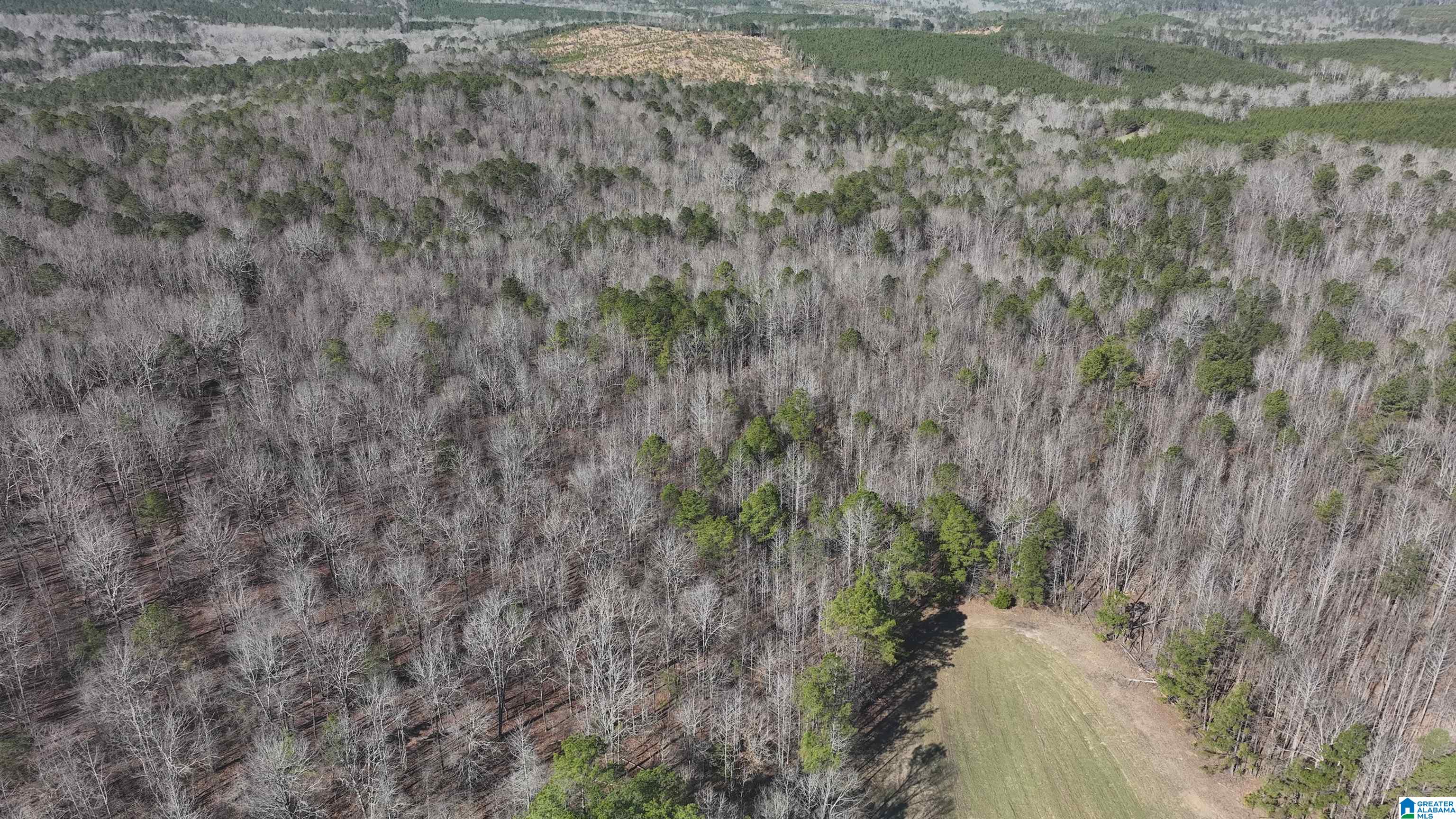 6171 Highway 102, Unit 1 Fayette, AL 35555 - Photo 30 of 68