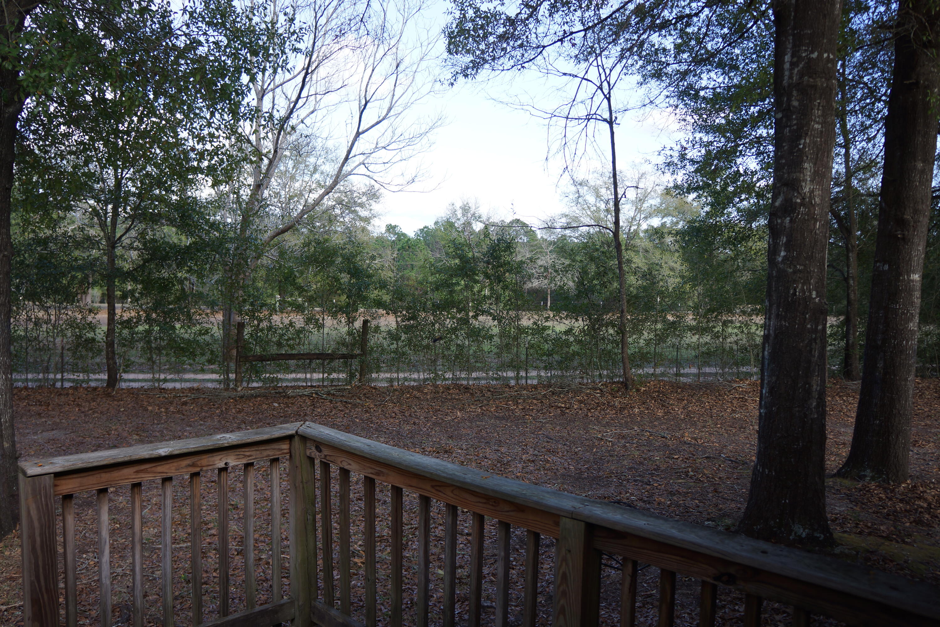 3248 Twilight Drive Crestview, FL 32539 - Photo 12 of 13 Back Yard