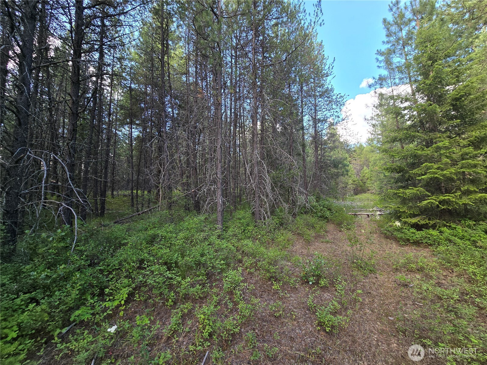 0 West Jump Off Joe Road Valley, WA 99181 - Photo 6 of 23 Gallery Image 6