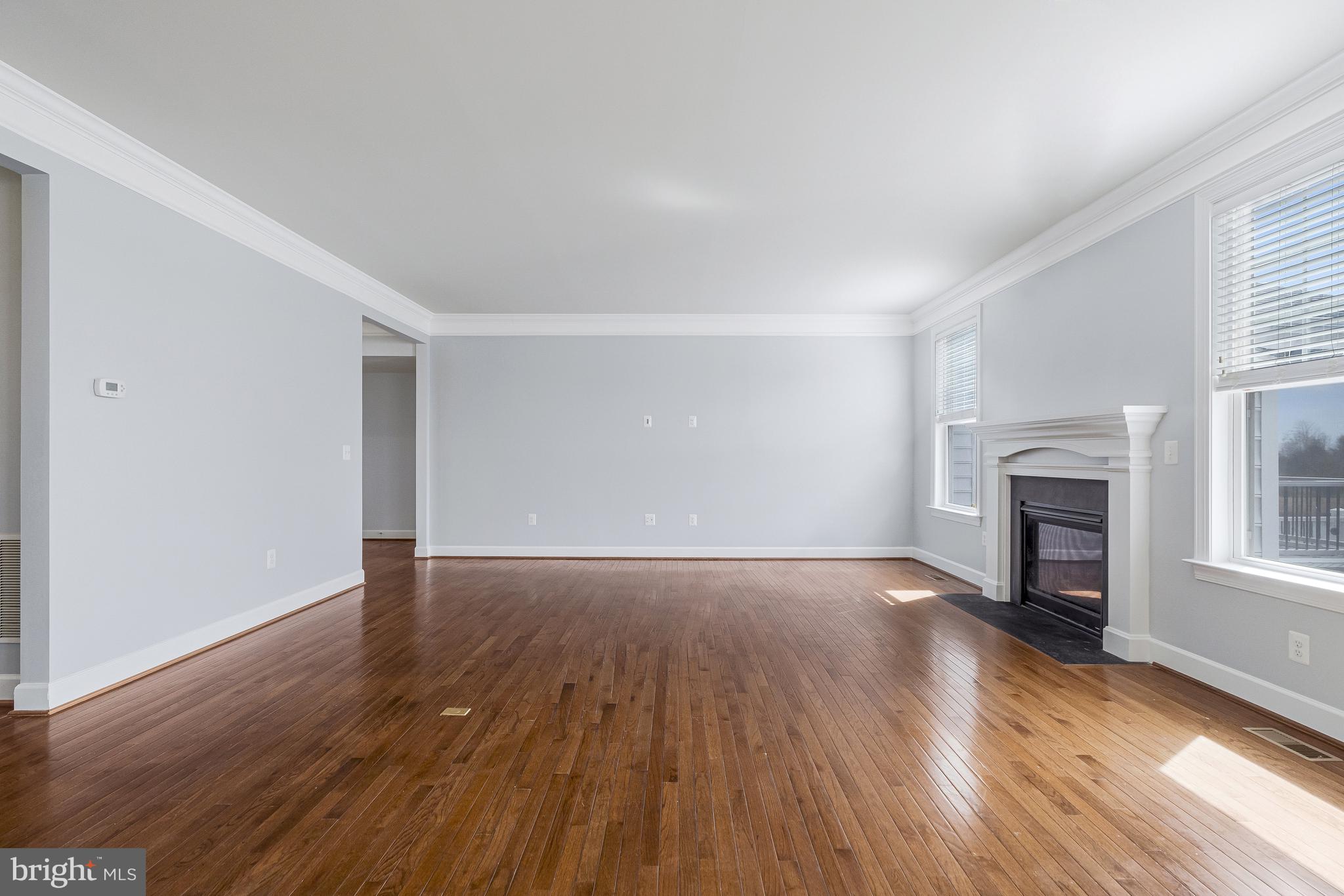 41729 Wakehurst Place Leesburg, VA 20176 - Photo 17 of 71 an empty room with wooden floor fireplace and windows