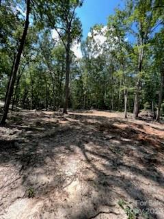 9602 Simpson Road Waxhaw, NC 28173 - Photo 3 of 10 Gallery Image 3
